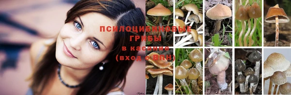 кокс Алексеевка
