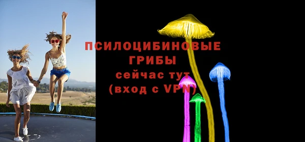 крисы Алзамай