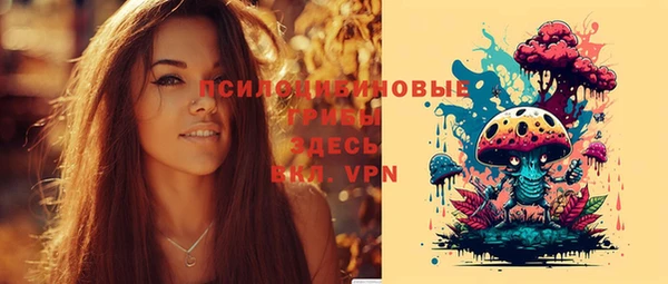 скорость Алексин