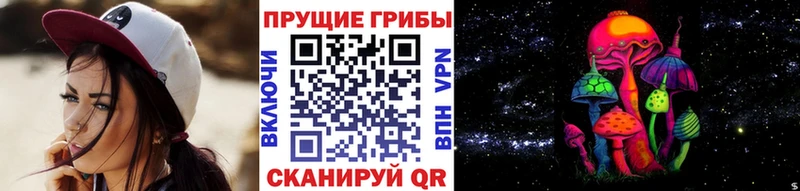 сколько стоит  Менделеевск  Псилоцибиновые грибы Psilocybine cubensis 